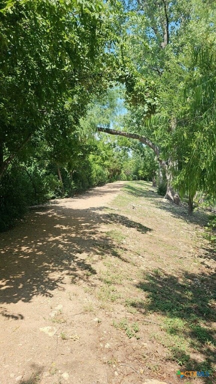 view of local wilderness