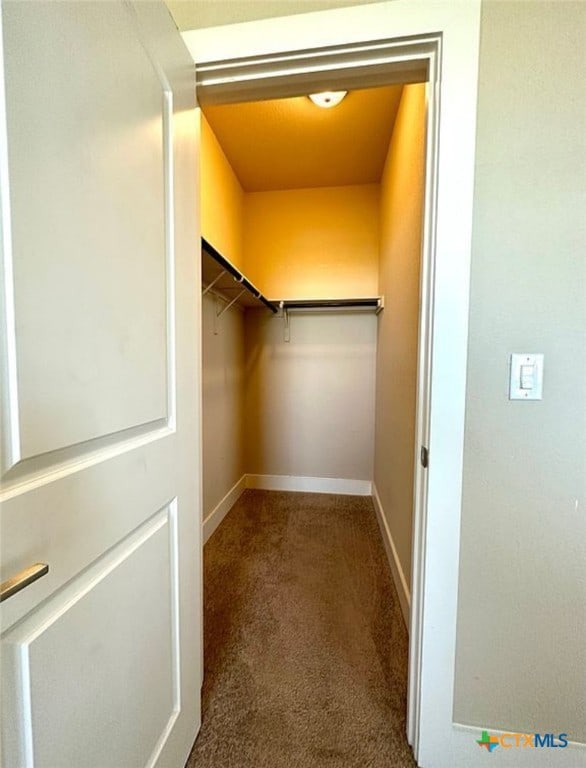 walk in closet with carpet floors