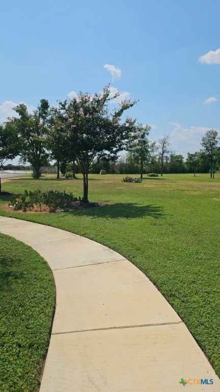 view of home's community with a lawn