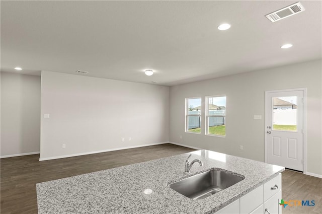 1211 N Teychas Dr, Kyle, TX 78640 - kitchen featuring visible vents, dark wood-style flooring, recessed lighting, light stone counters, and a sink