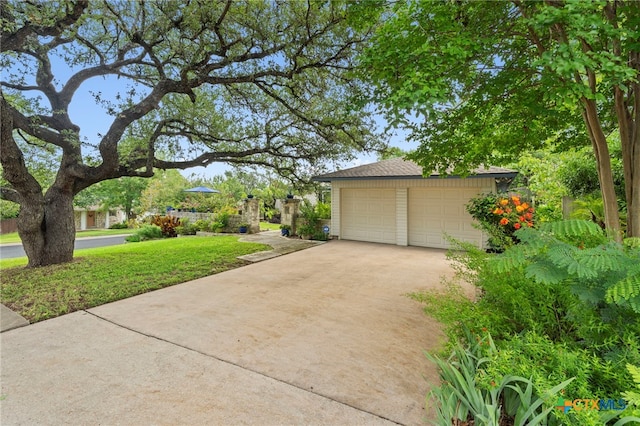 8551 Red Willow Dr, Austin, TX 78736 - photo 7