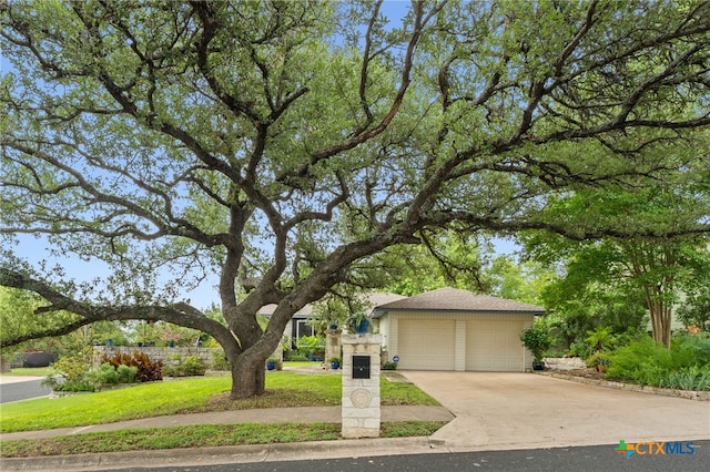 8551 Red Willow Dr, Austin, TX 78736 - photo 6