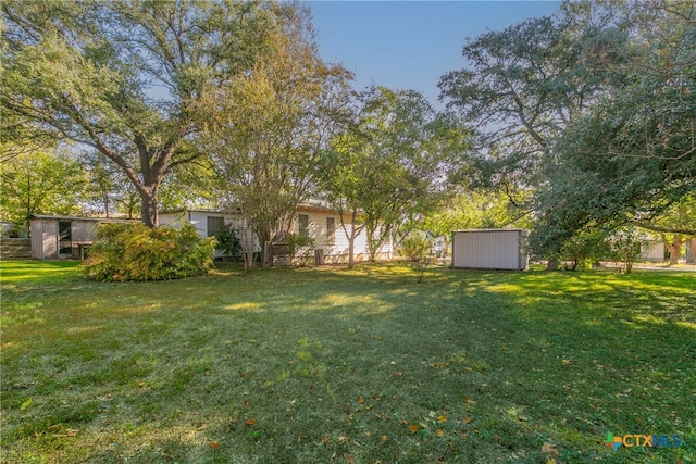 view of yard featuring a storage shed