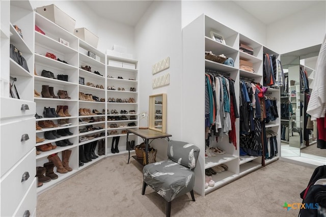 spacious closet with carpet floors