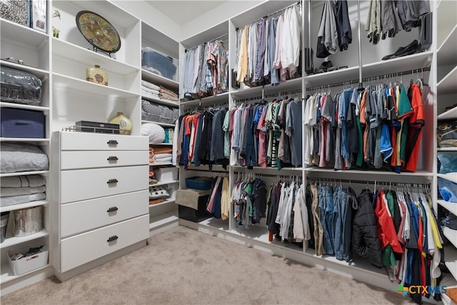 walk in closet with carpet