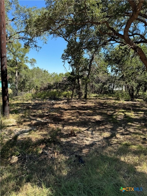 2869 Western Skies Dr, Spring Branch TX, 78070 land for sale