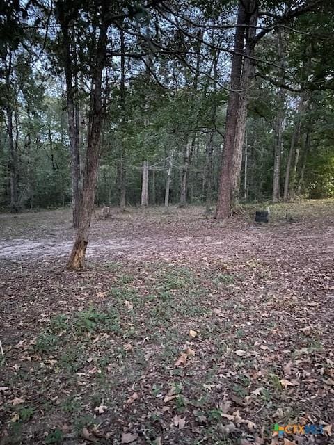 288 Forest Dr, Hemphill, TX 75948 - photo 7