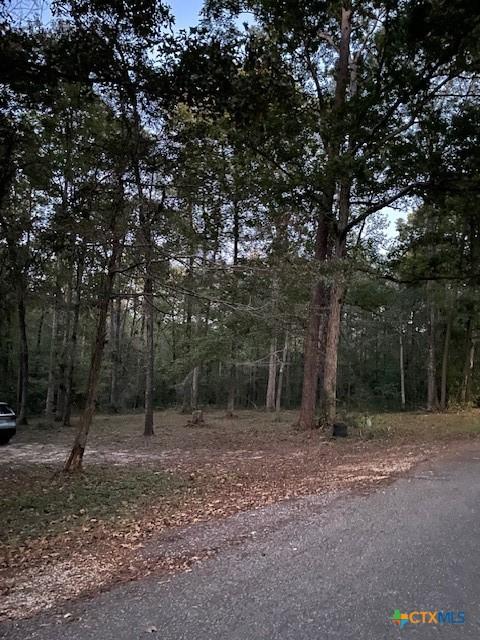 288 Forest Dr, Hemphill, TX 75948 - photo 5