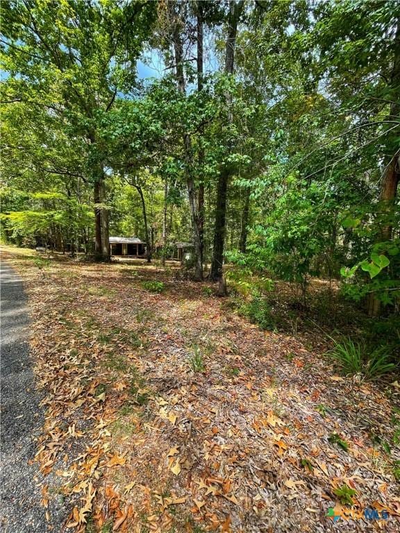 288 Forest Dr, Hemphill, TX 75948 - photo 6