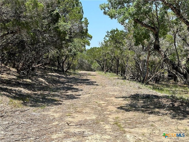 3500 Lohmans Ford Rd Lot 72, Lago Vista, TX 78645