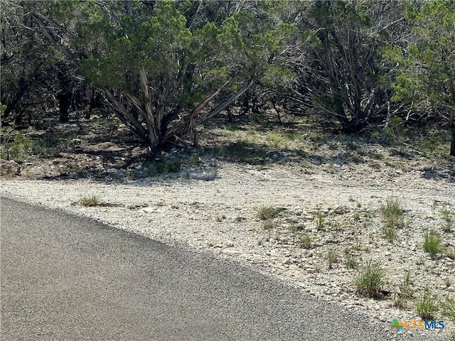 3500 Lohmans Ford Rd Lot 72, Lago Vista, TX 78645