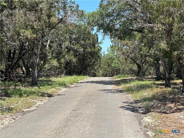 3500 Lohmans Ford Rd Lot 72, Lago Vista, TX 78645