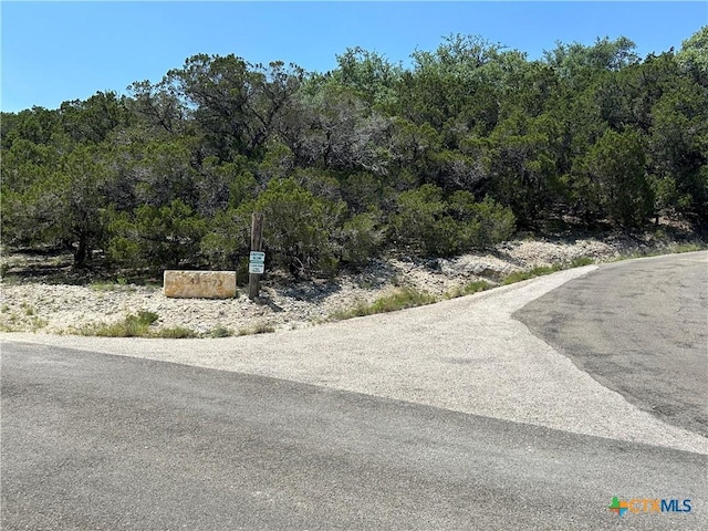 3500 Lohmans Ford Rd Lot 72, Lago Vista, TX 78645