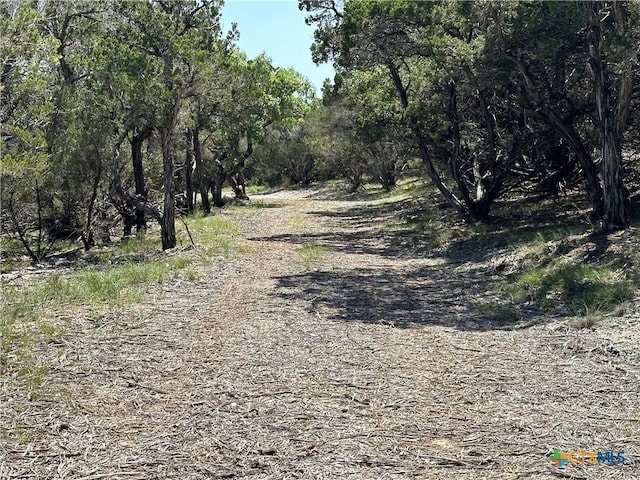 3500 Lohmans Ford Rd Lot 72, Lago Vista, TX 78645