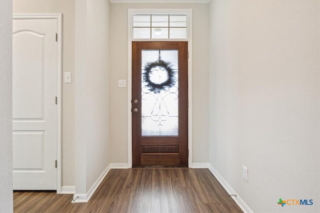 1330 Logan Blvd, Salado, TX 76571 - foyer featuring dark wood-type flooring and baseboards