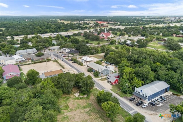 1330 Logan Blvd, Salado, TX 76571 - drone / aerial view