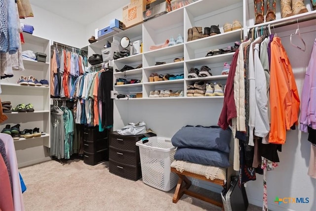 1330 Logan Blvd, Salado, TX 76571 - walk in closet with carpet floors