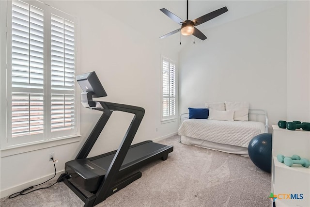 108 Rainbow Valley Trl, San Marcos, TX 78666 - workout area with ceiling fan, carpet floors, and baseboards