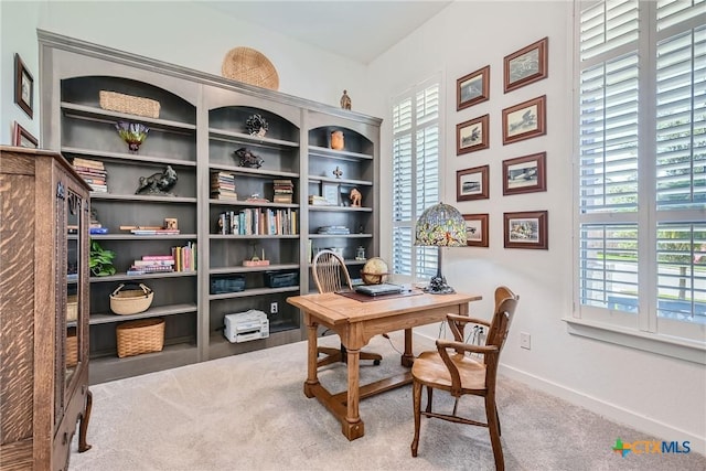 108 Rainbow Valley Trl, San Marcos, TX 78666 - office with plenty of natural light, carpet floors, and baseboards
