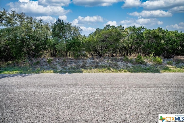 1752 Trailridge Dr, Canyon Lake, TX 78133