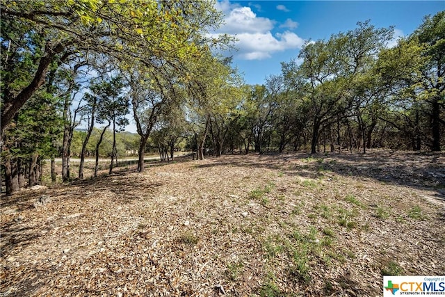 1752 Trailridge Dr, Canyon Lake, TX 78133