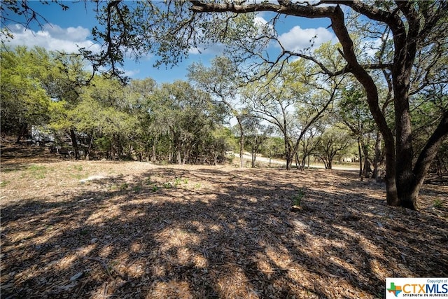 1752 Trailridge Dr, Canyon Lake, TX 78133