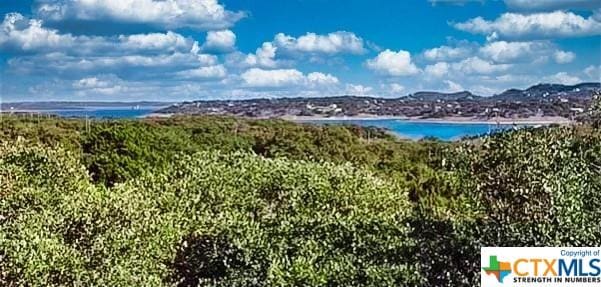 1752 Trailridge Dr, Canyon Lake, TX 78133