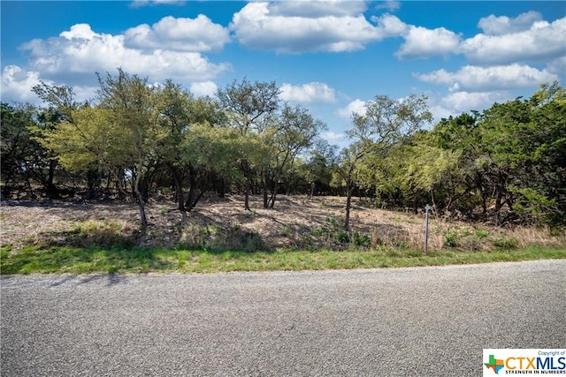 Listing photo 3 for 1752 Trailridge Dr, Canyon Lake TX 78133