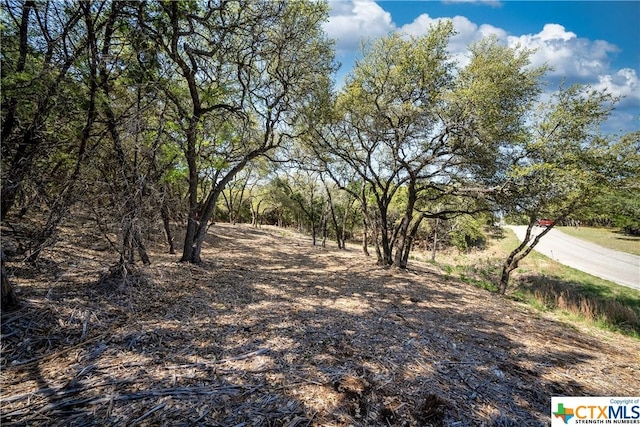 1752 Trailridge Dr, Canyon Lake, TX 78133