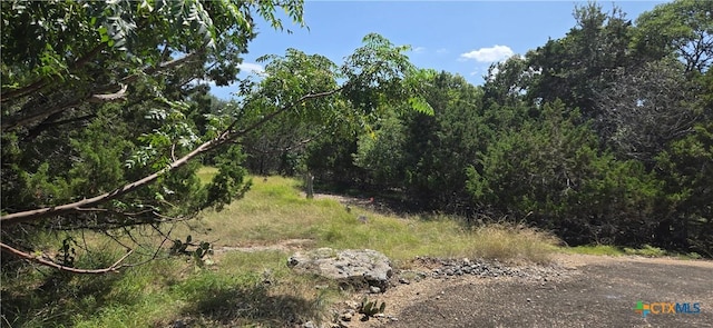 15879 Crockett Dr, Temple, TX 76502 - photo 4