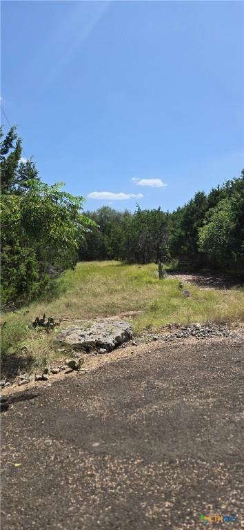 15879 Crockett Dr, Temple, TX 76502 - photo 9