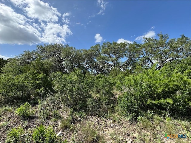 221 Hunters Glen Rd, San Marcos, TX 78666