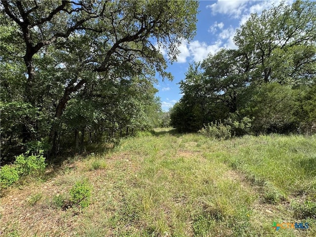 221 Hunters Glen Rd, San Marcos, TX 78666