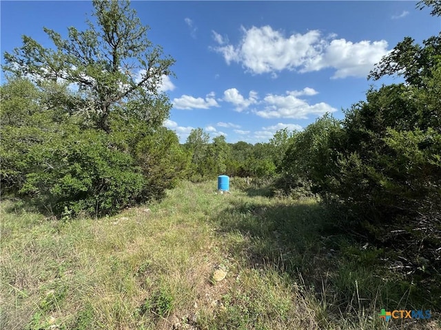 221 Hunters Glen Rd, San Marcos, TX 78666