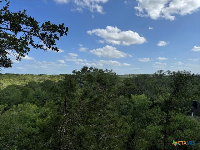 221 Hunters Glen Rd, San Marcos, TX 78666
