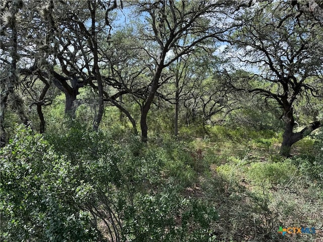 221 Hunters Glen Rd, San Marcos, TX 78666