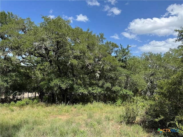 221 Hunters Glen Rd, San Marcos, TX 78666