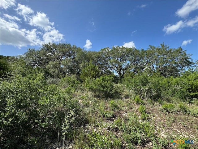 221 Hunters Glen Rd, San Marcos, TX 78666