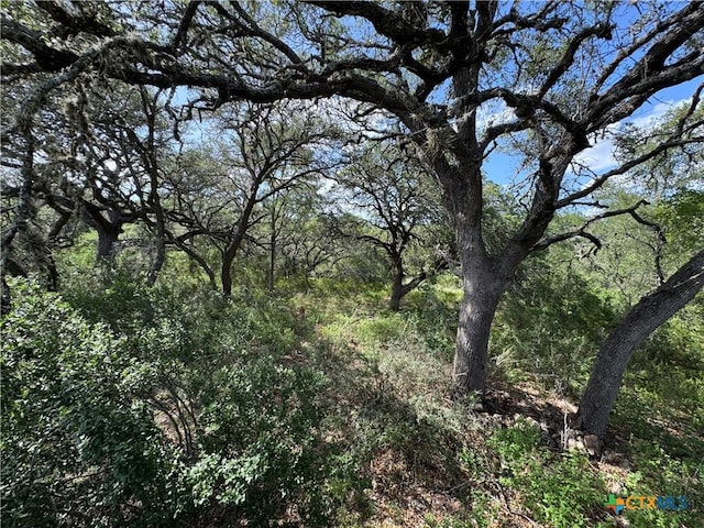 221 Hunters Glen Rd, San Marcos, TX 78666