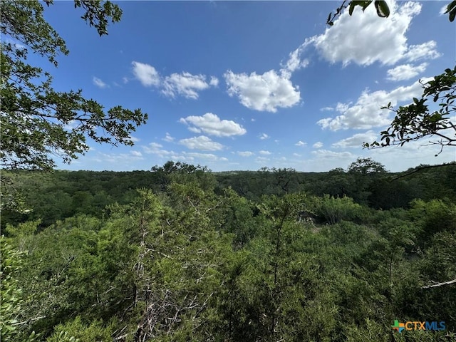 221 Hunters Glen Rd, San Marcos, TX 78666