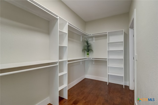 spacious closet featuring dark wood-type flooring