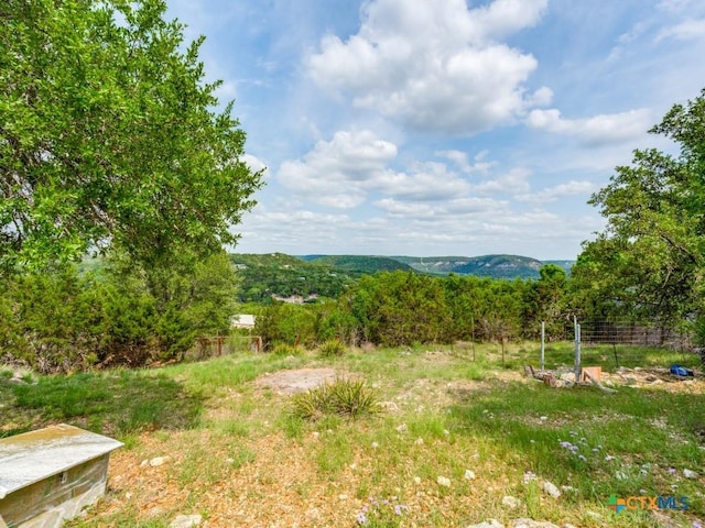 1400 Qappuella Dr, Canyon Lake, TX 78133 - view of yard with a forest view