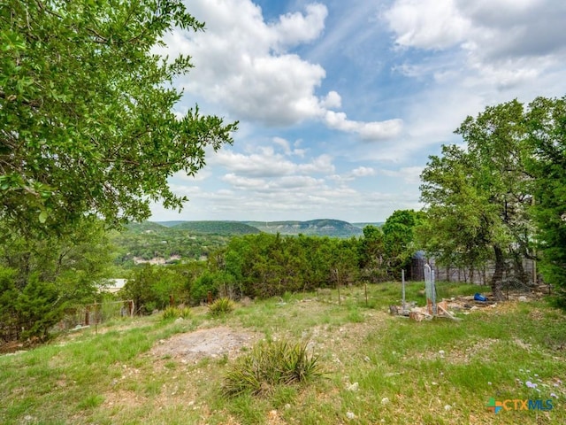 1400 Qappuella Dr, Canyon Lake, TX 78133 - view of yard