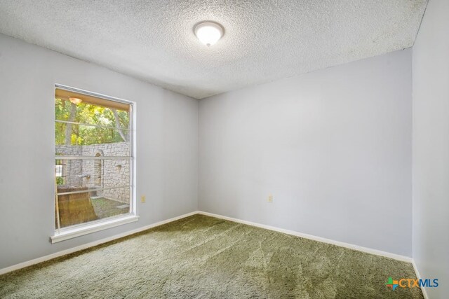 empty room featuring carpet and a textured ceiling