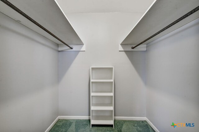 spacious closet featuring carpet flooring