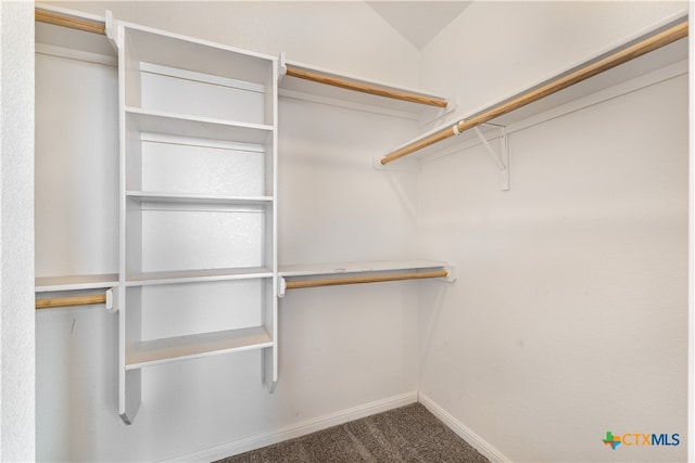 walk in closet featuring lofted ceiling and carpet floors