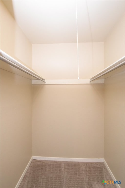 spacious closet with carpet flooring