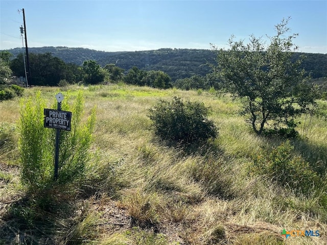904 Indian Rdg, New Braunfels, TX 78132 - photo 5