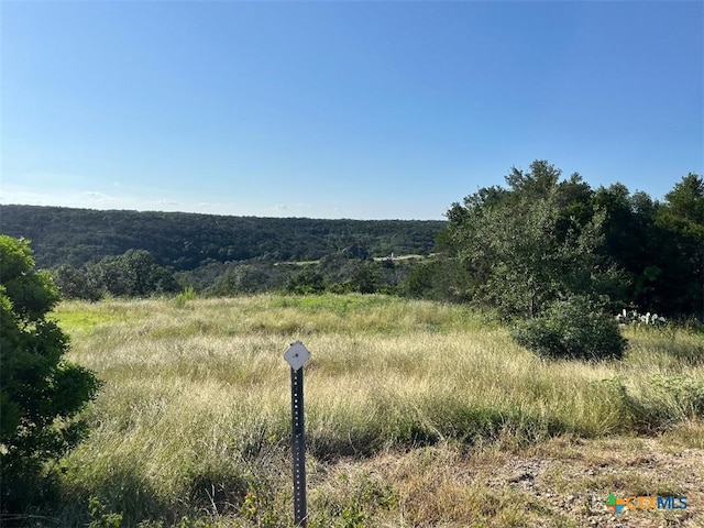 904 Indian Rdg, New Braunfels, TX 78132 - photo 4