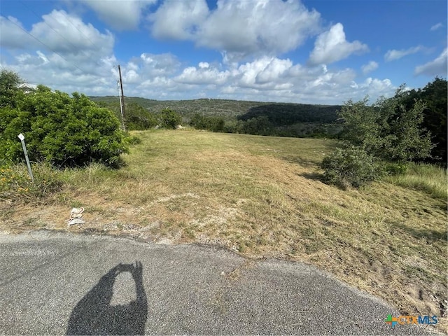 904 Indian Rdg, New Braunfels, TX 78132 - photo 9